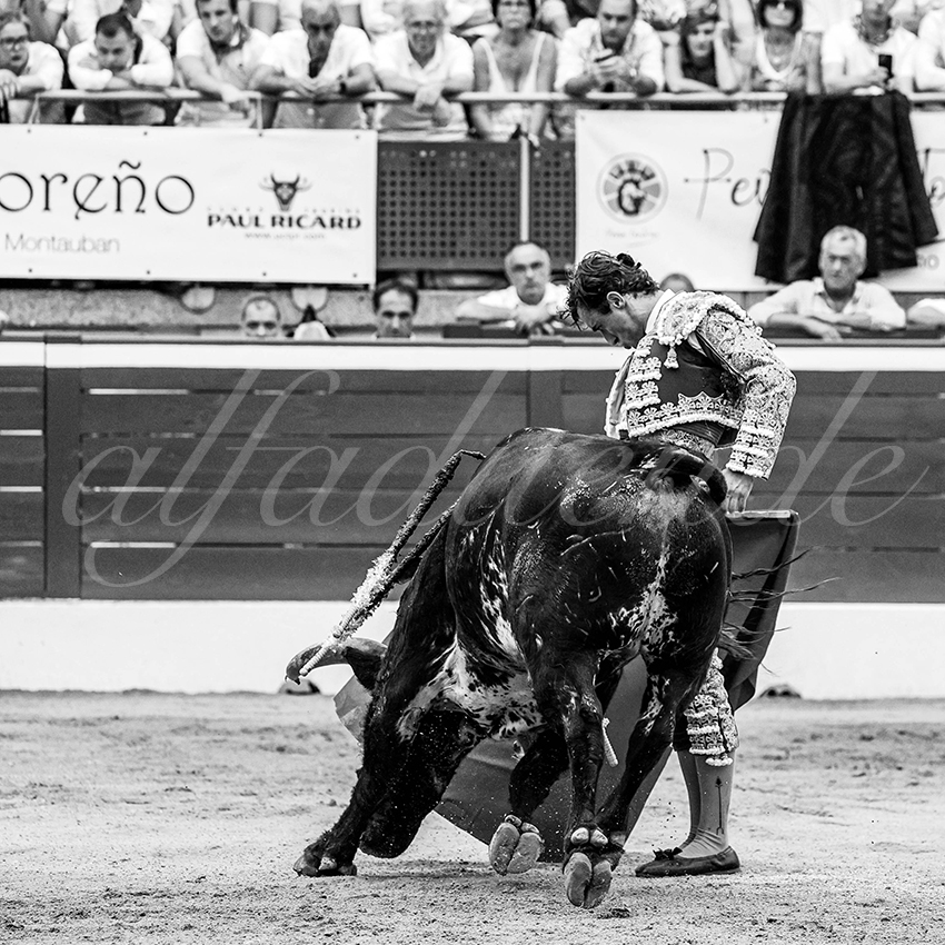 20230721 mont de marsan 017