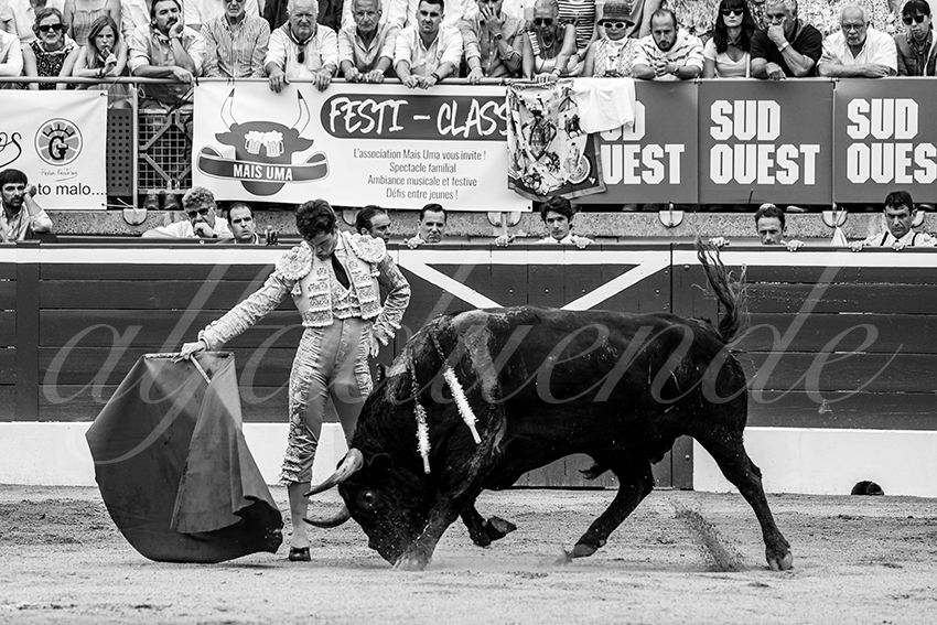 20230721 mont de marsan 013