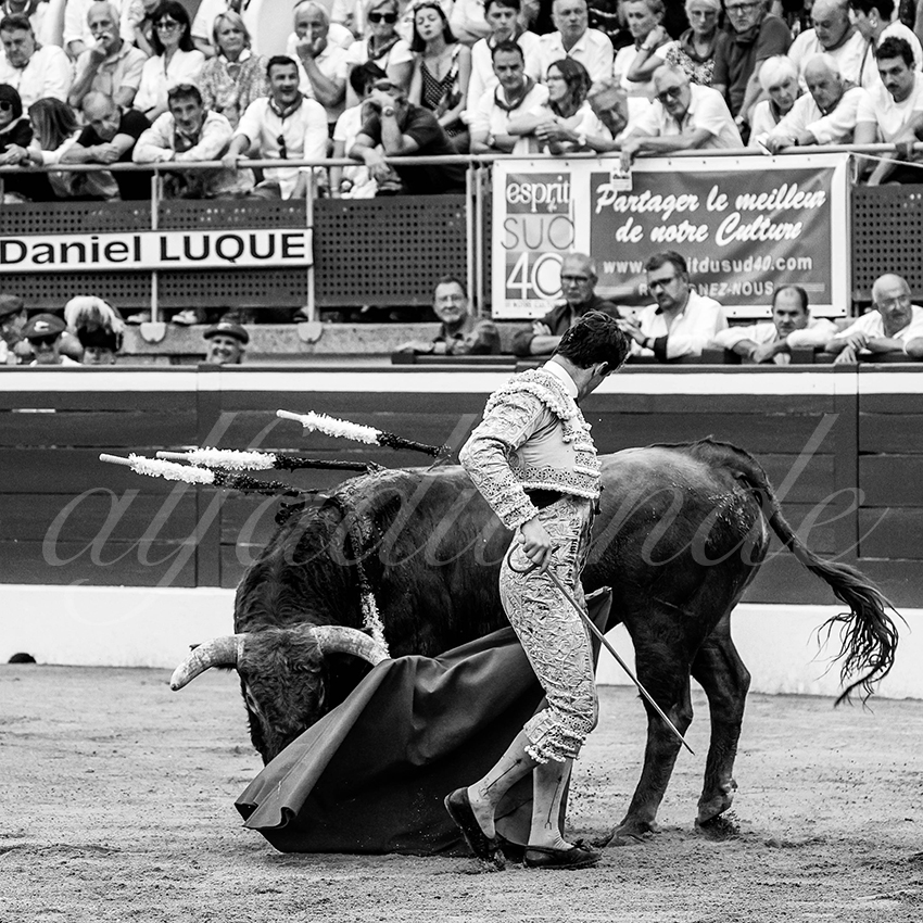 20230721 mont de marsan 012