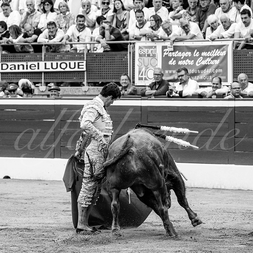 20230721 mont de marsan 011