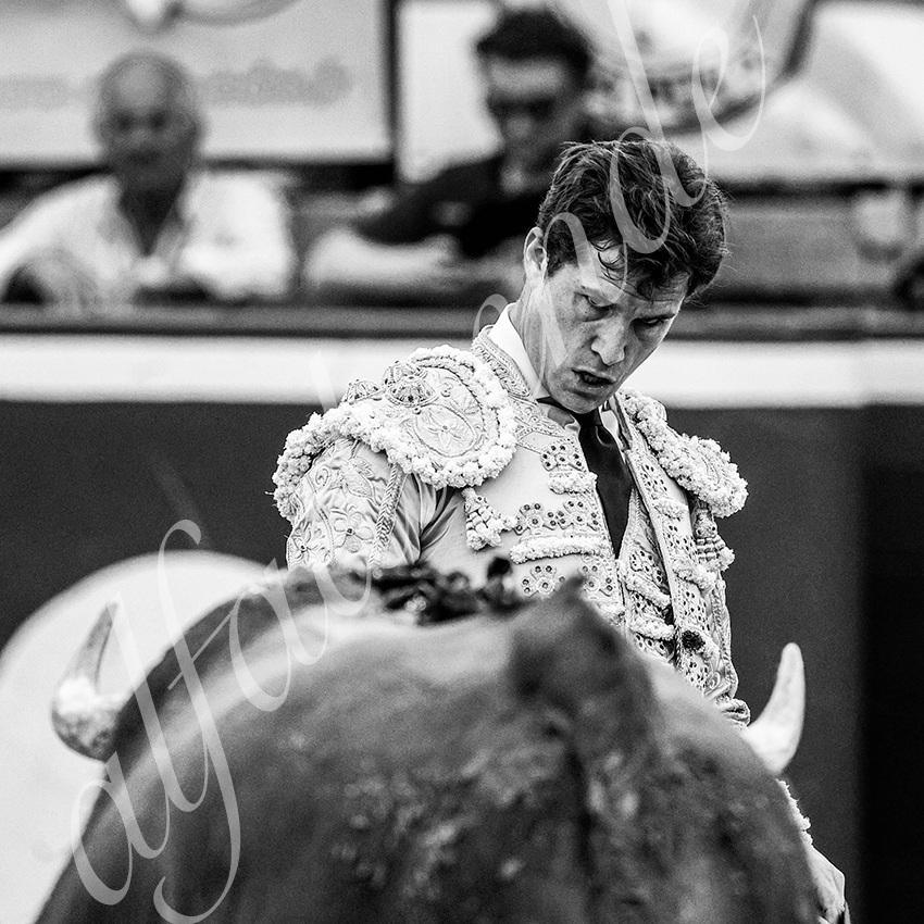 20230721 mont de marsan 009