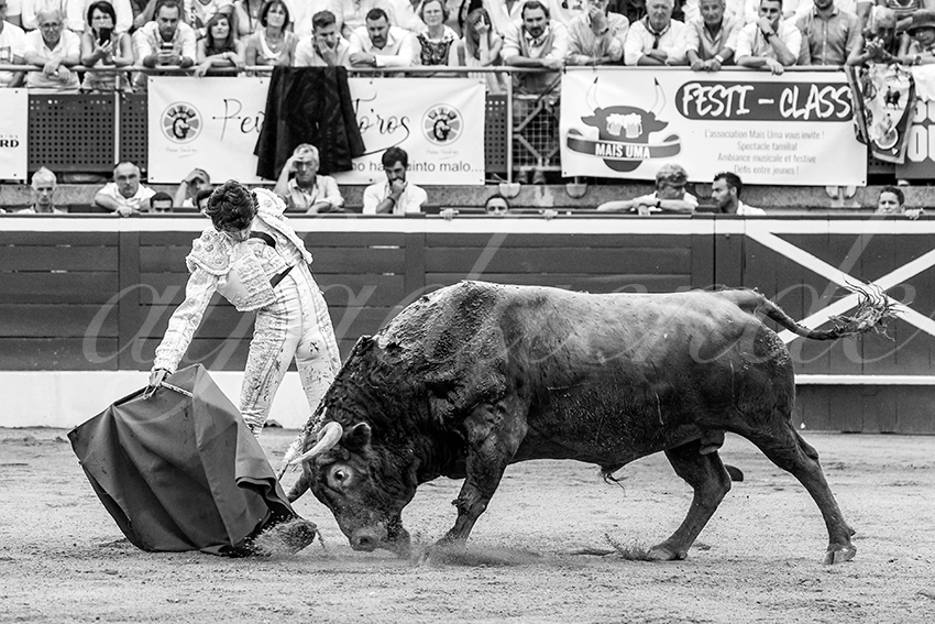 20230721 mont de marsan 007