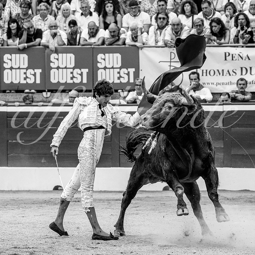 20230721 mont de marsan 006