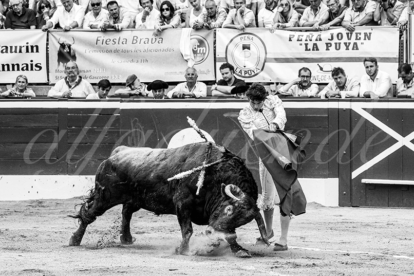 20230721 mont de marsan 005