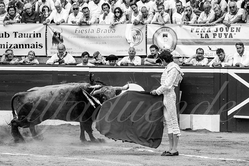 20230721 mont de marsan 004