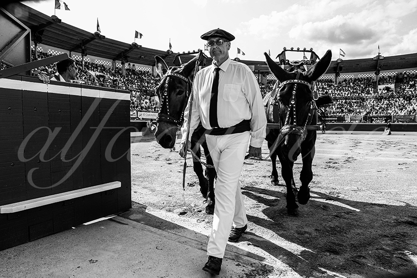 20230721 mont de marsan 015