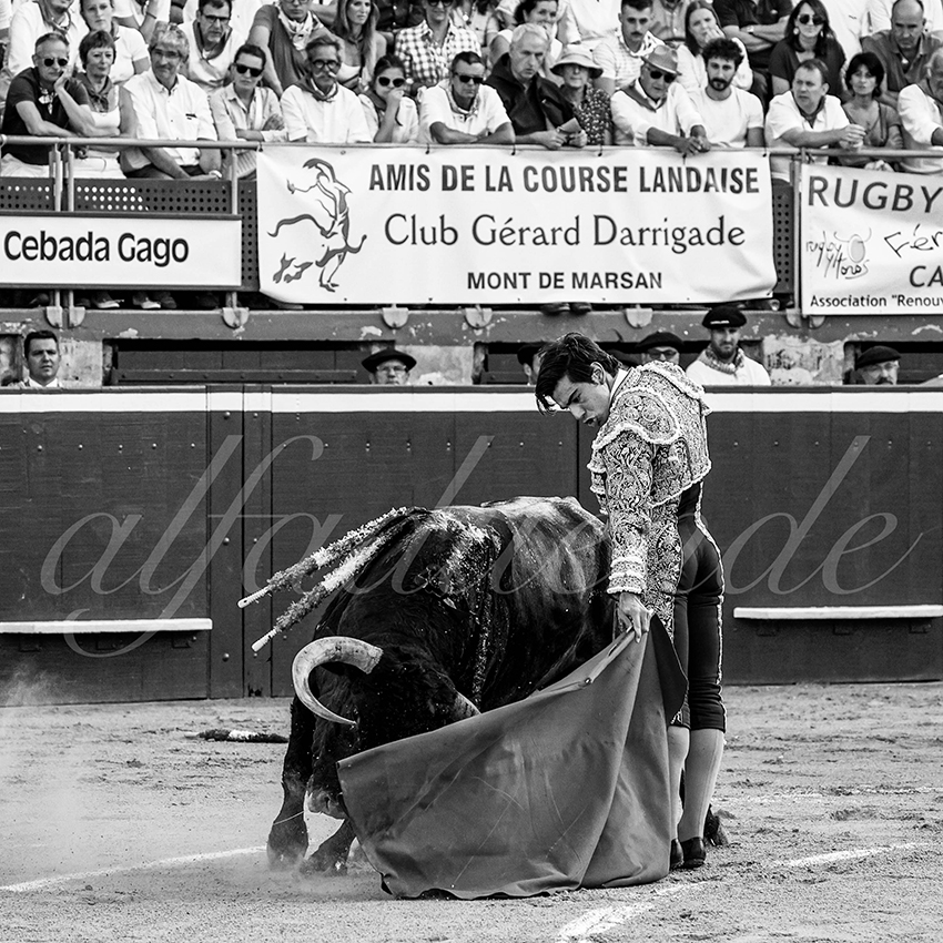 20230721 mont de marsan 013