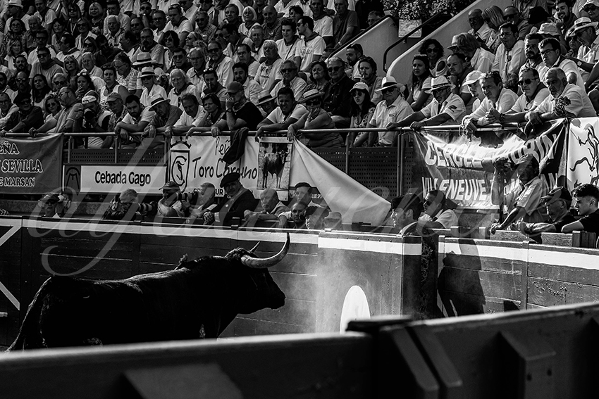 20230721 mont de marsan 012