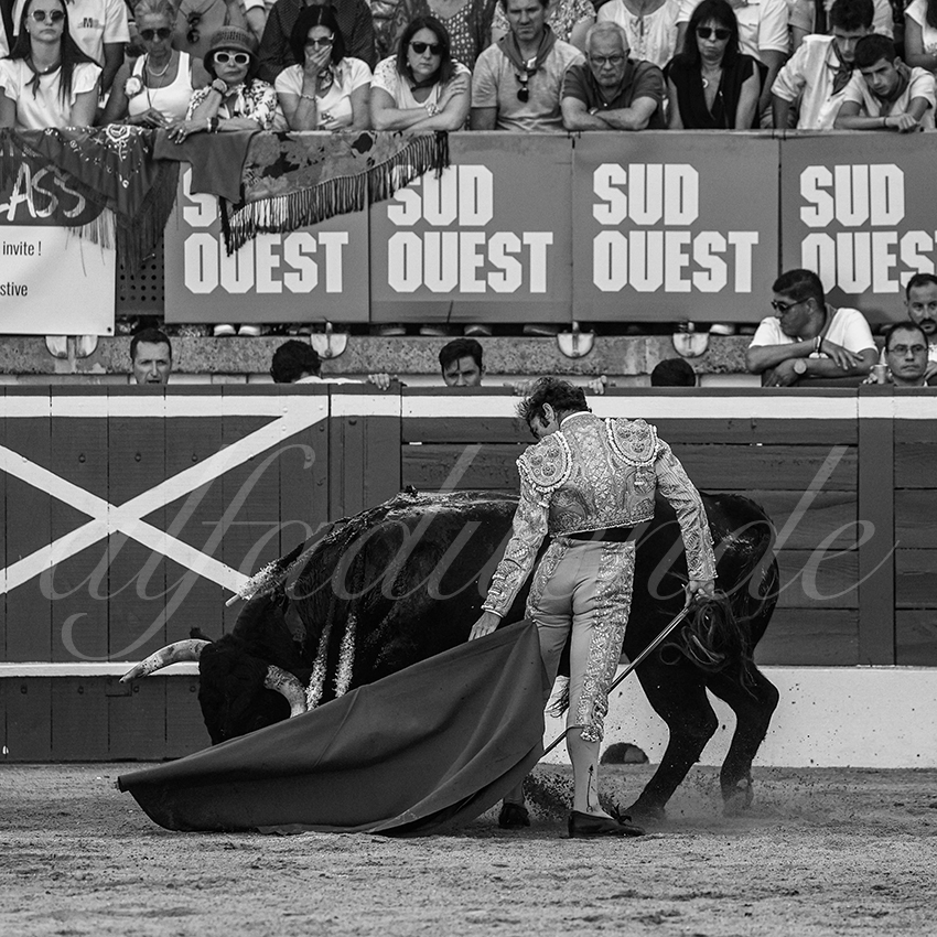 20230721 mont de marsan 010