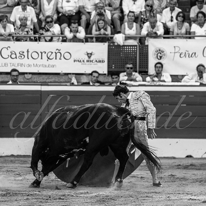 20230721 mont de marsan 009