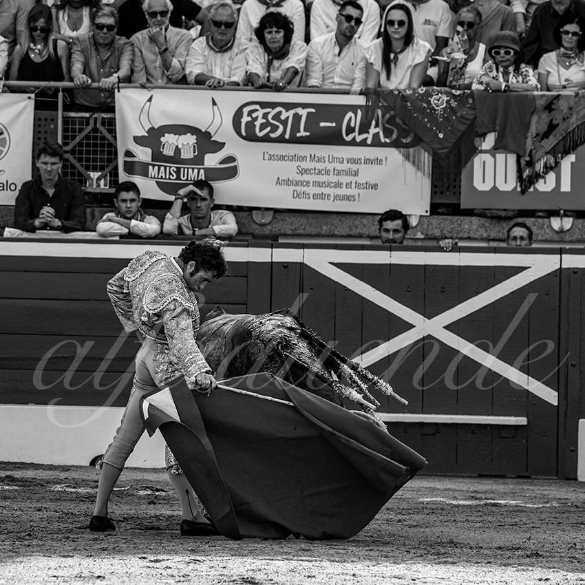 20230721 mont de marsan 007