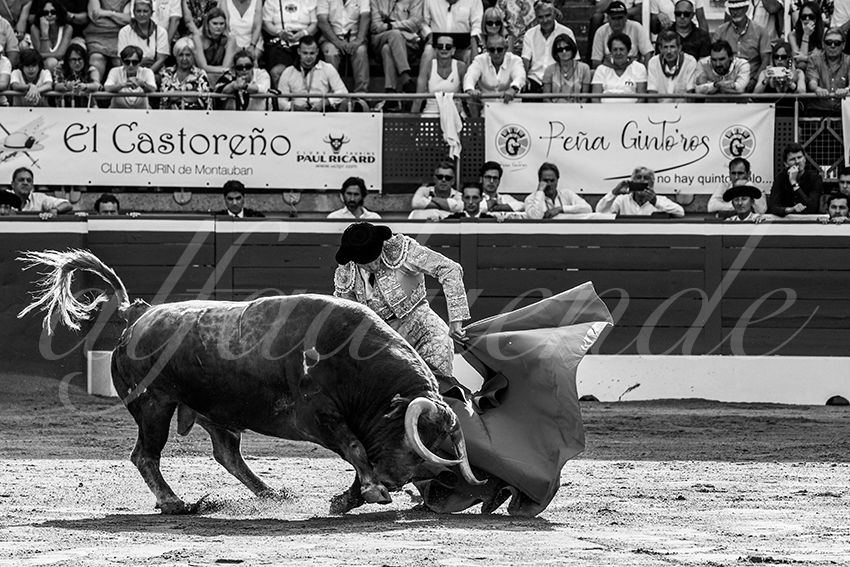 20230721 mont de marsan 006