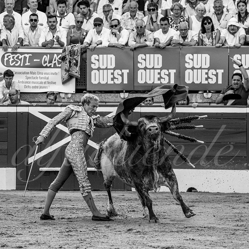 20230722 mont de marsan 021