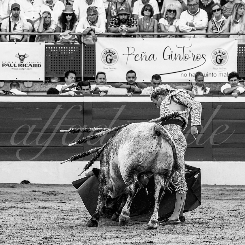 20230722 mont de marsan 020