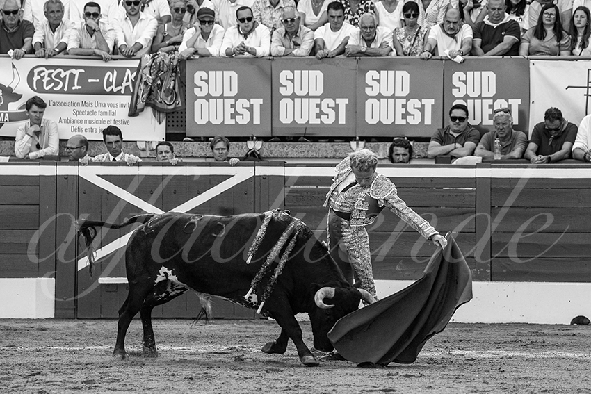 20230722 mont de marsan 017