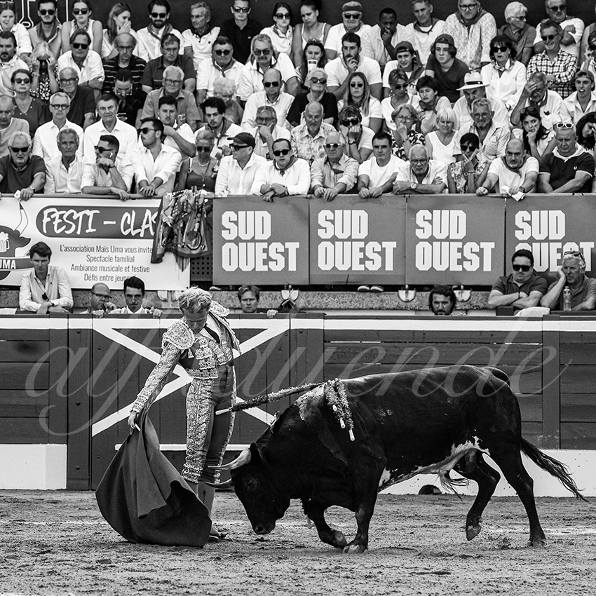 20230722 mont de marsan 016