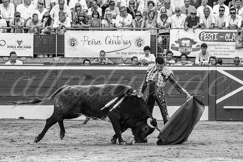 20230722 mont de marsan 014