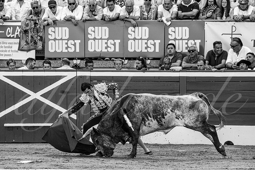 20230722 mont de marsan 011