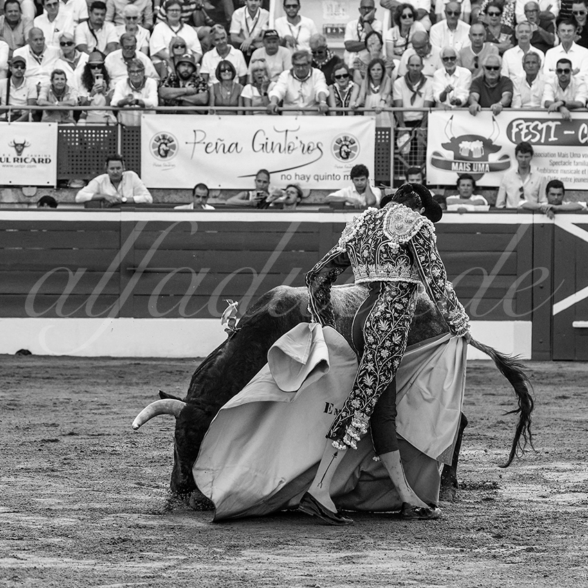 20230722 mont de marsan 010