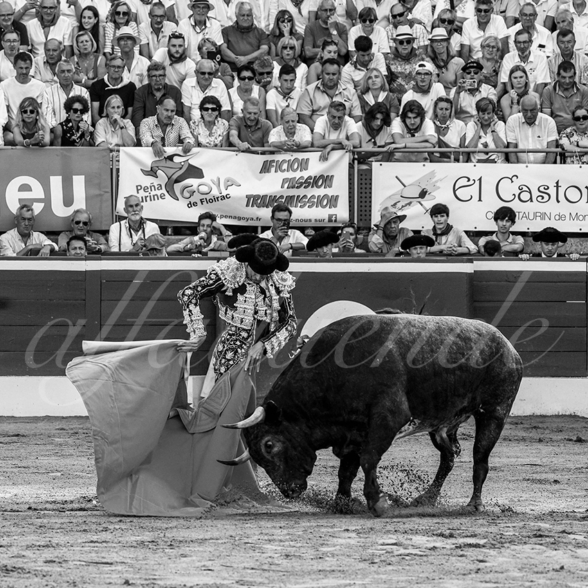 20230722 mont de marsan 009