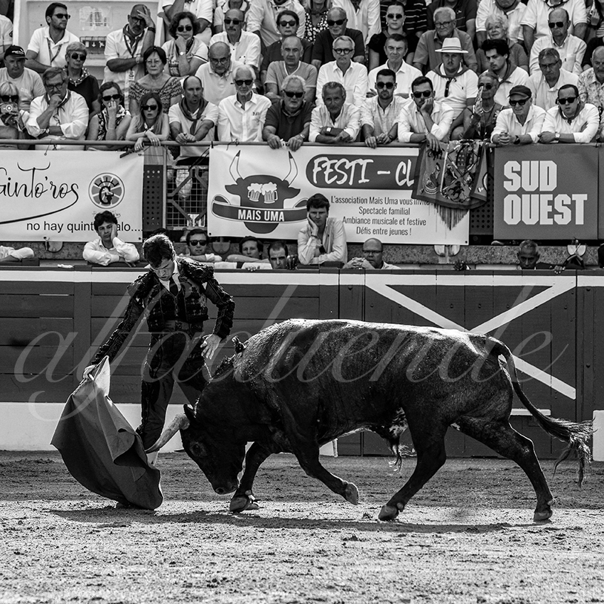 20230722 mont de marsan 008