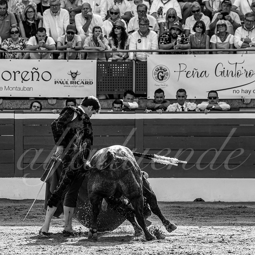 20230722 mont de marsan 007