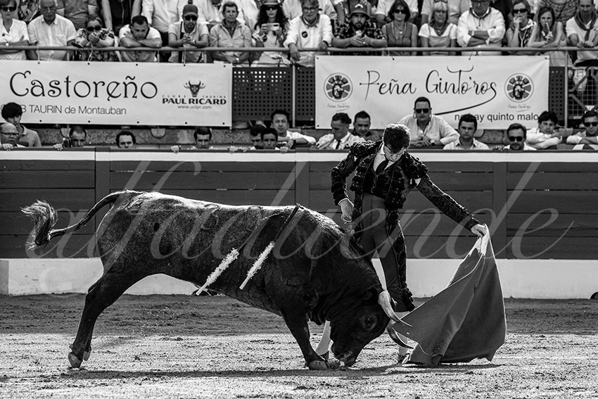 20230722 mont de marsan 005