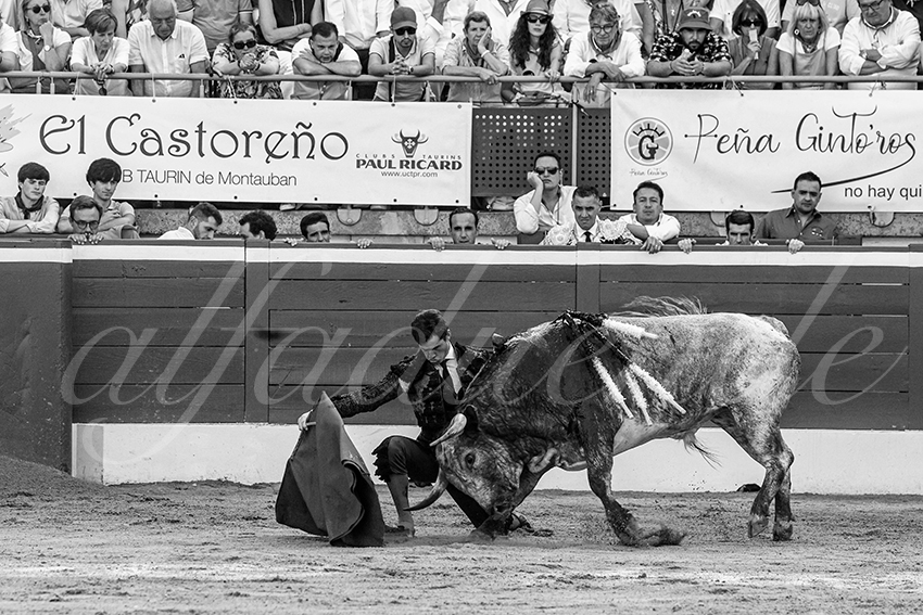 20230722 mont de marsan 004