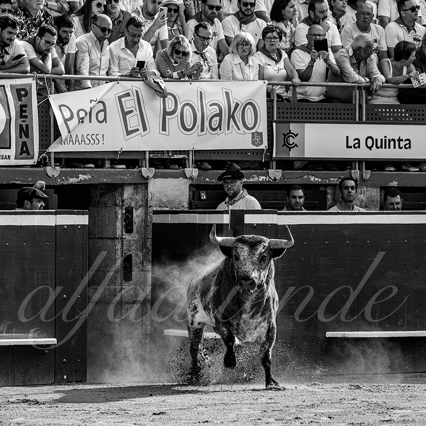 20230722 mont de marsan 003