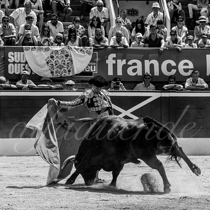 20230722 nov mont de marsan 011