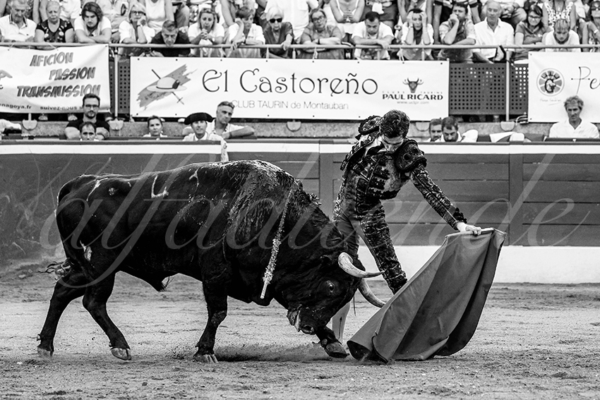 20230723 mont de marsan 019