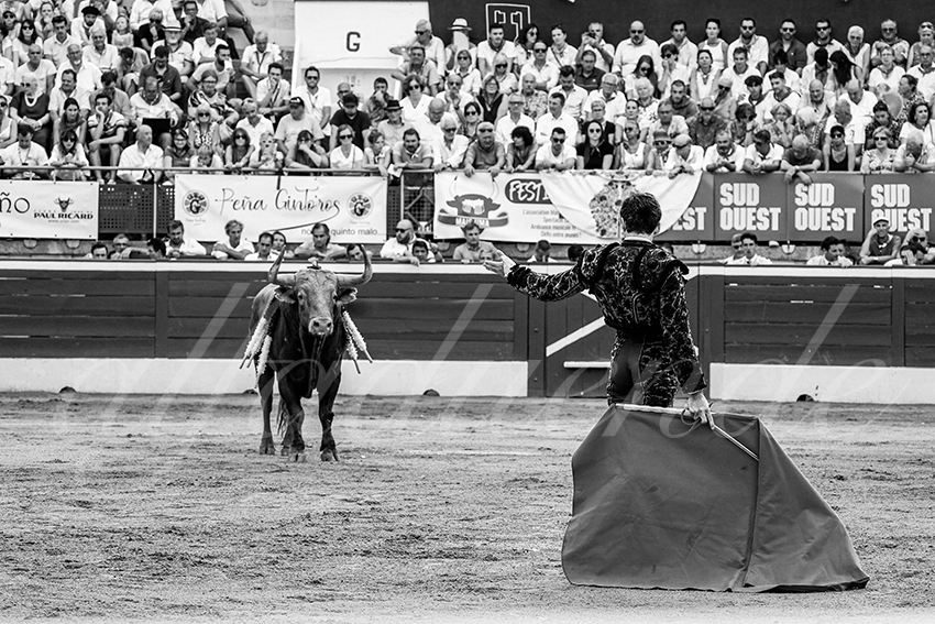 20230723 mont de marsan 016