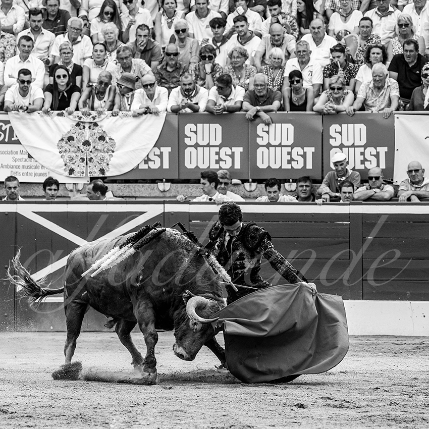 20230723 mont de marsan 015