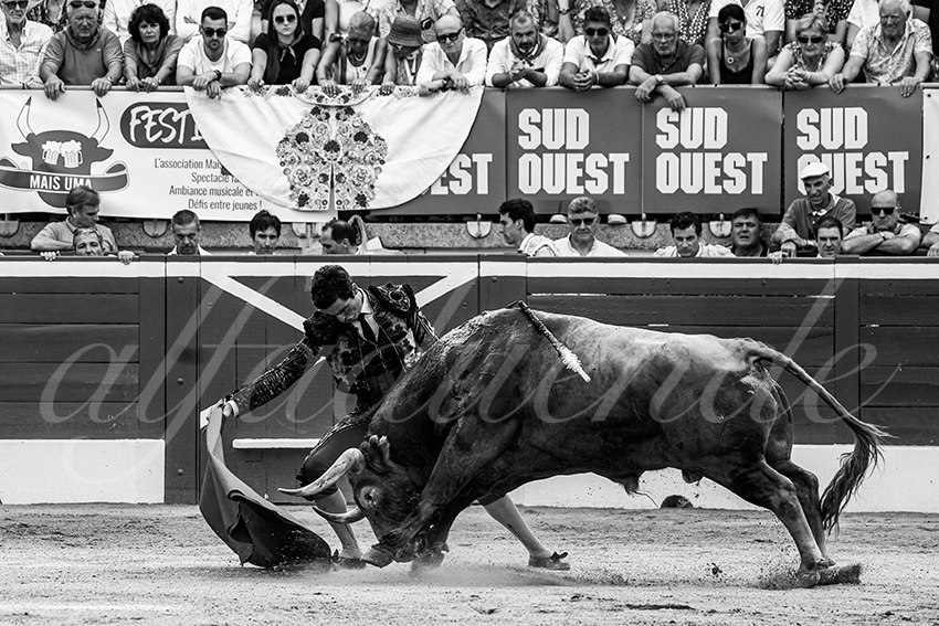 20230723 mont de marsan 014