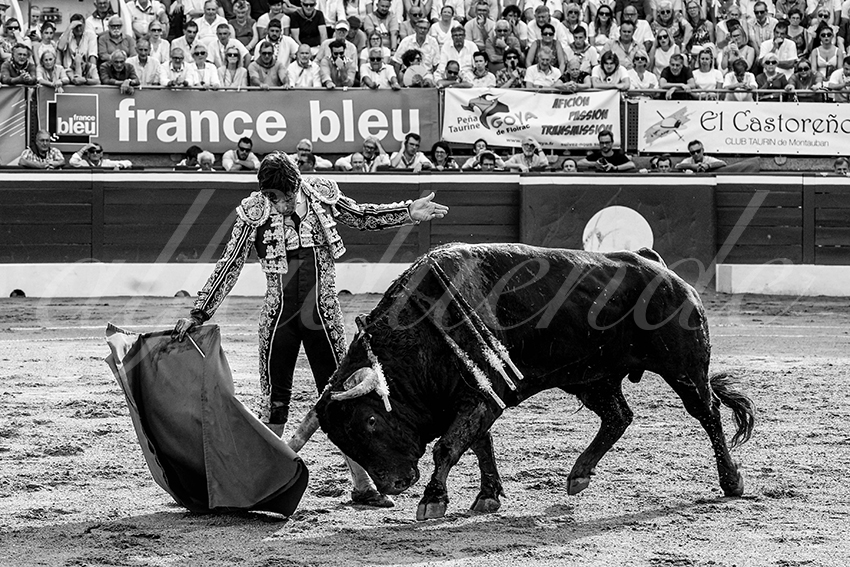 20230723 mont de marsan 012