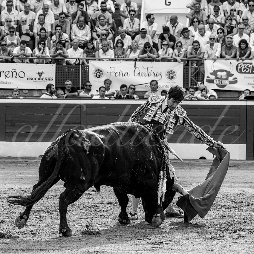 20230723 mont de marsan 011