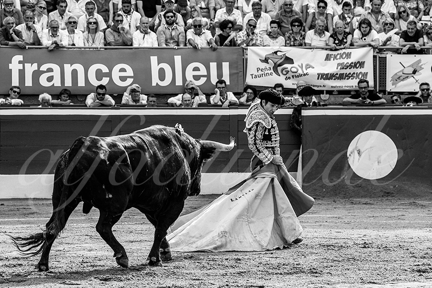 20230723 mont de marsan 010