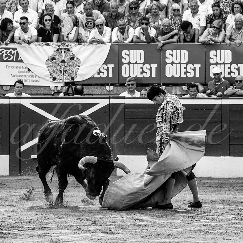 20230723 mont de marsan 009