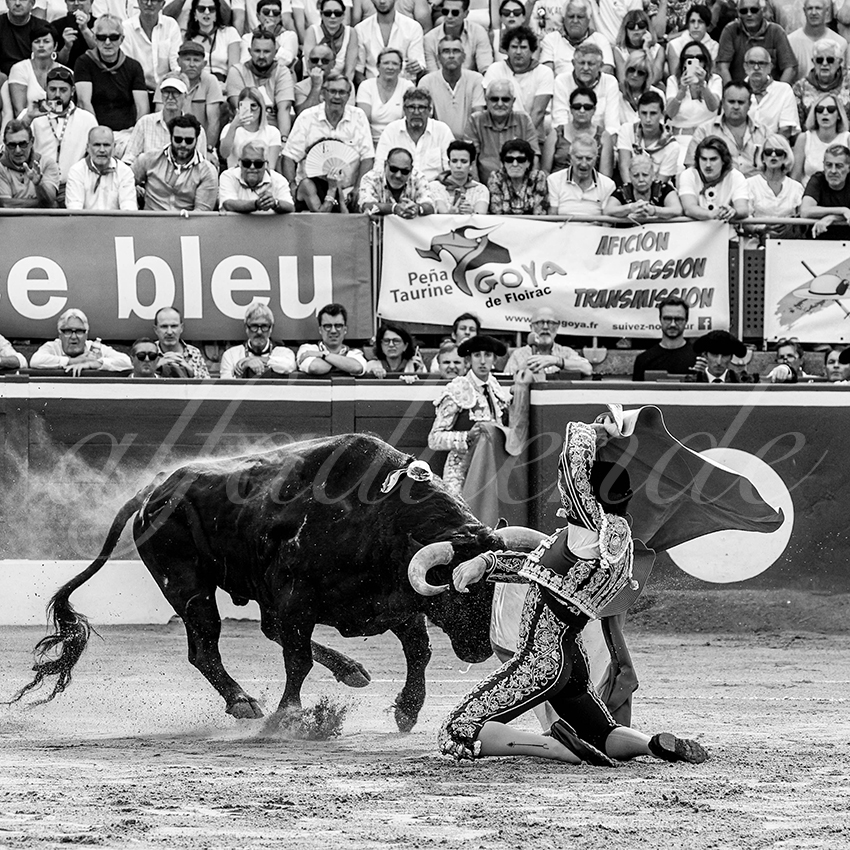 20230723 mont de marsan 008