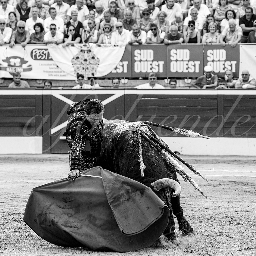 20230723 mont de marsan 006