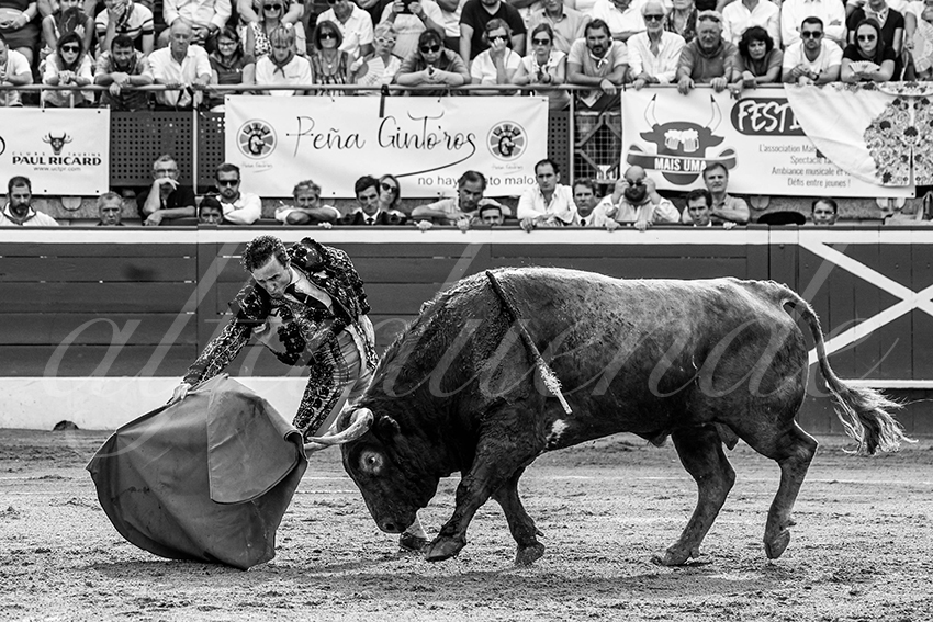 20230723 mont de marsan 005