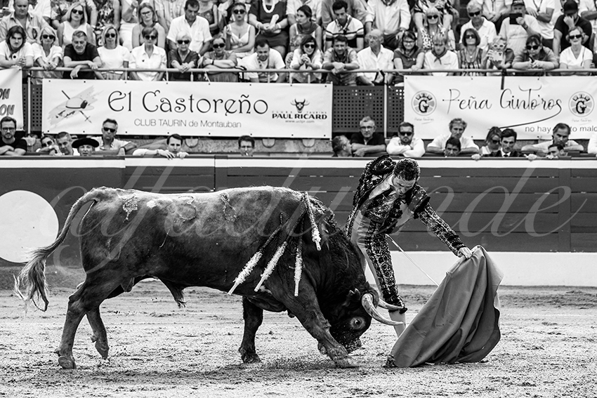 20230723 mont de marsan 004