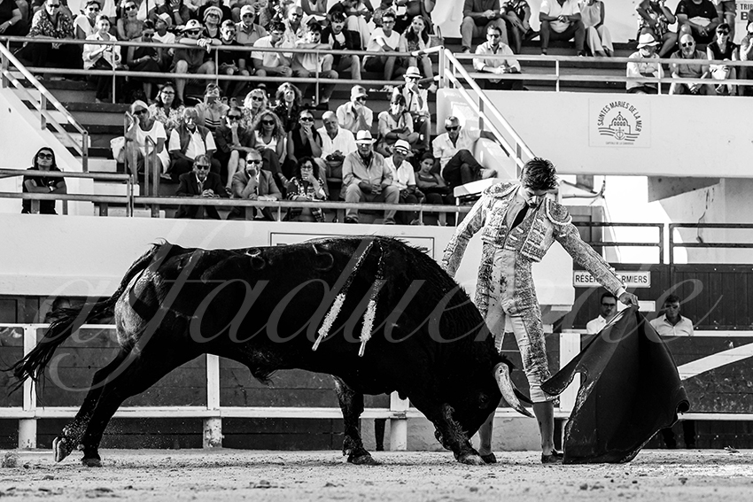 20230806 stes maries 023