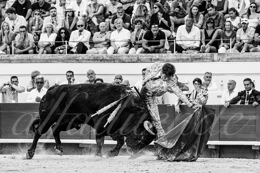 20230812 beziers 027 