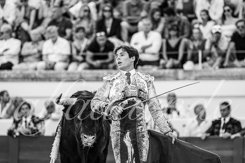 20230812 beziers 026 