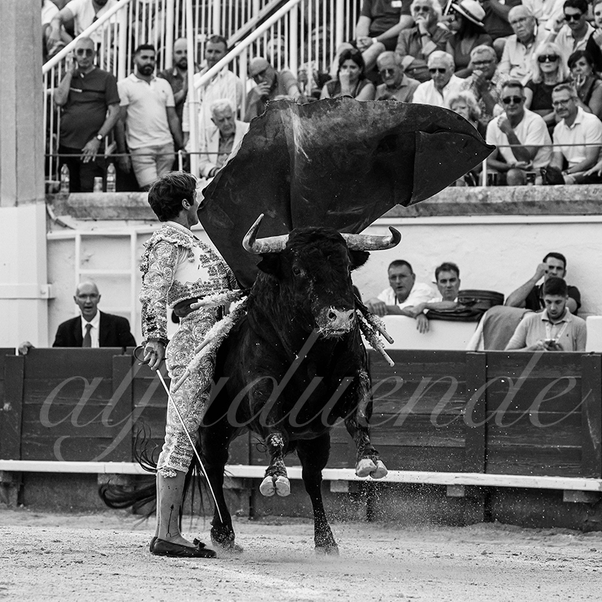 20230812 beziers 025 