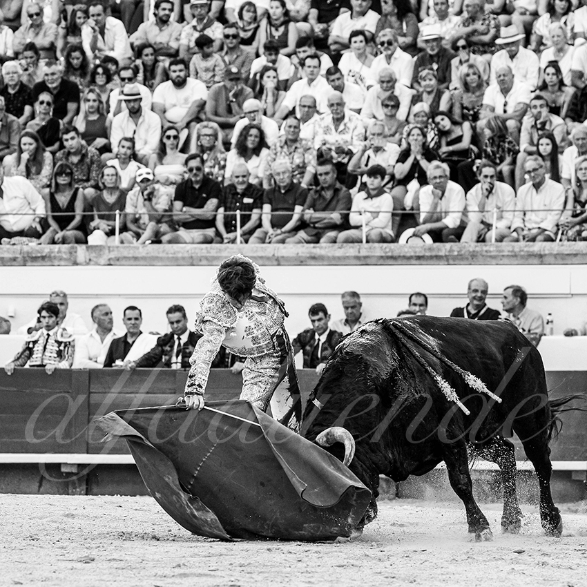 20230812 beziers 024 