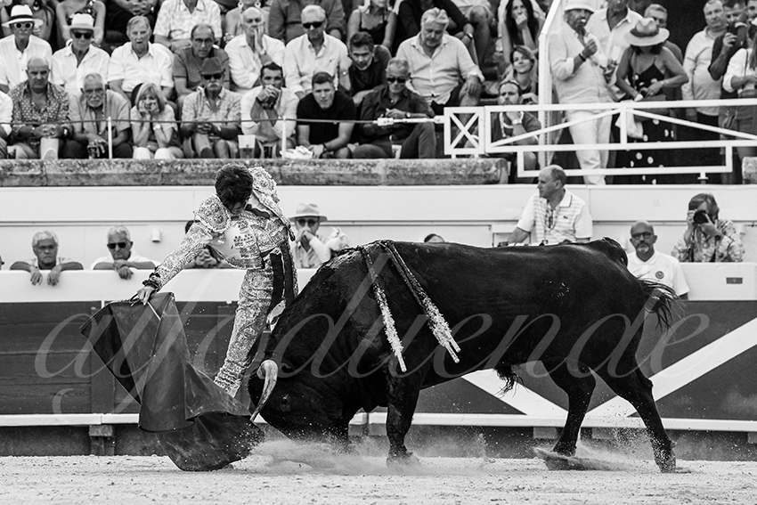 20230812 beziers 022 