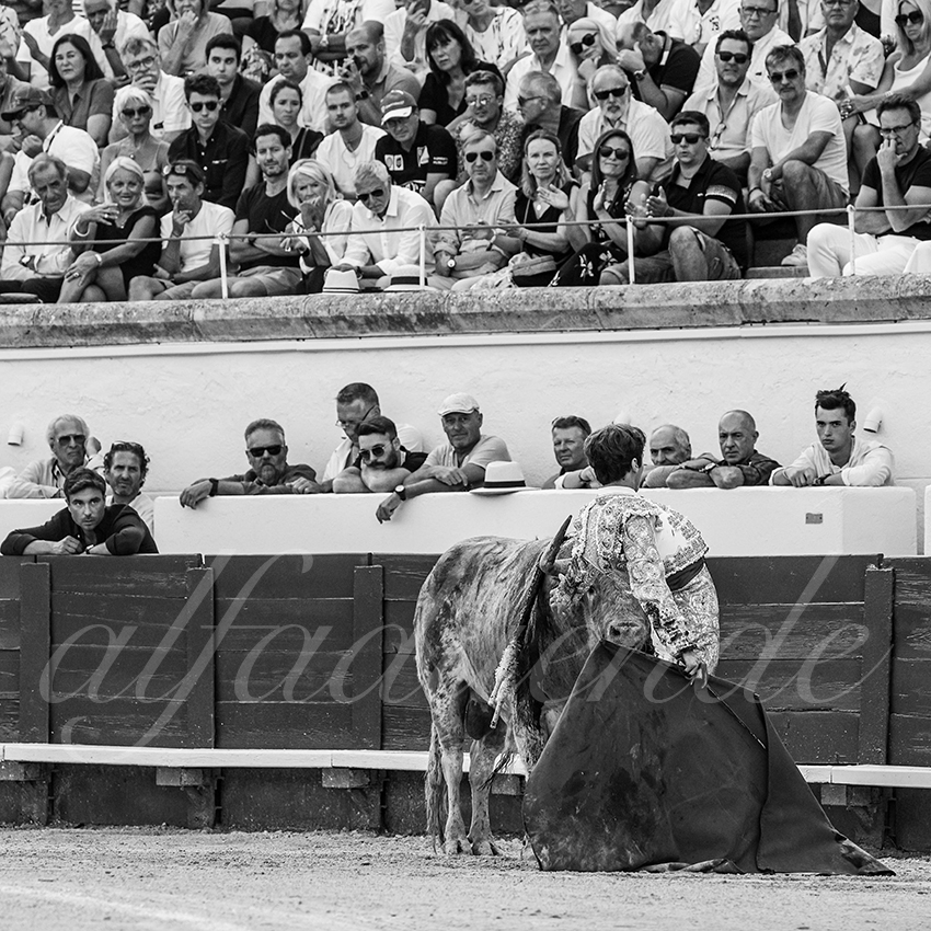 20230812 beziers 021 