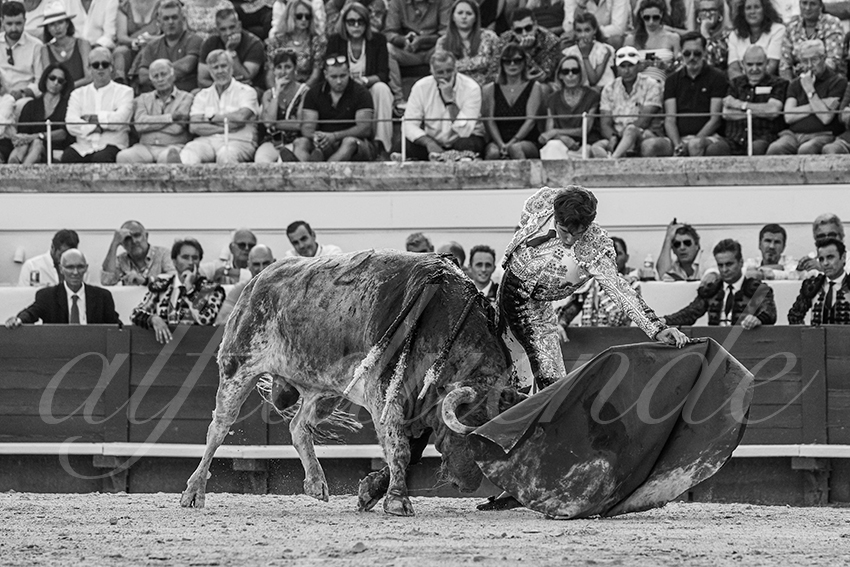 20230812 beziers 020 